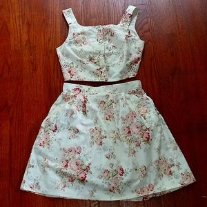 Birds of North America Crop Top & Full Skirt
